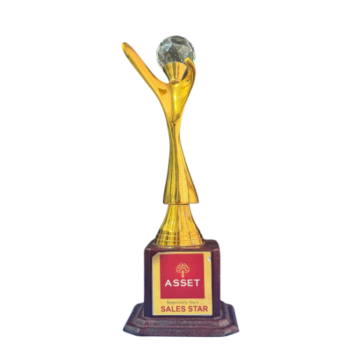 Crowned as Sales Star by Asset Homes