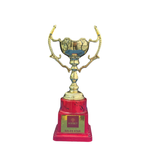 Honoured as Sales Star by Asset Homes